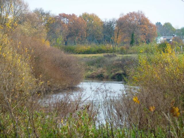 Herbststimmung in der Leineaue