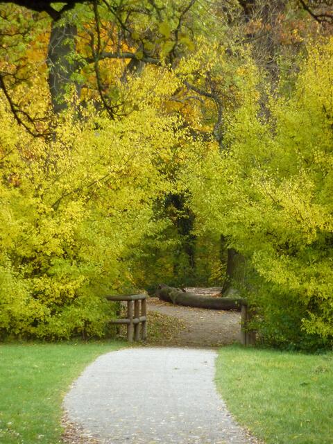 Der Weg führt in eine märchenhafte Landschaft.