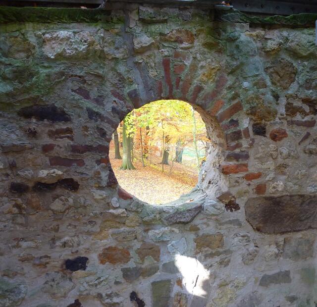 Eine runde Sache: Blick in die goldene Natur