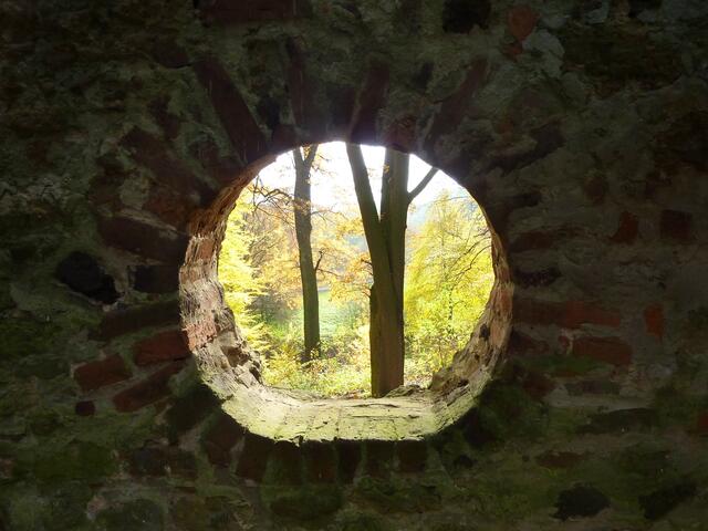 Durchblick in den goldenen November