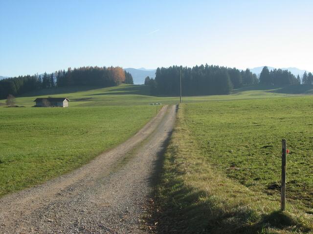 Schnurgerade - der Weg übers Feld.