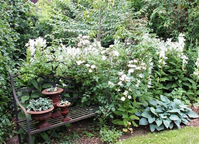 in einem Garten im Edertal