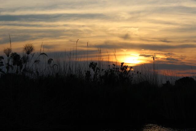 Sonnenuntergang im Okavango-Delta 5 © Michael Stauner