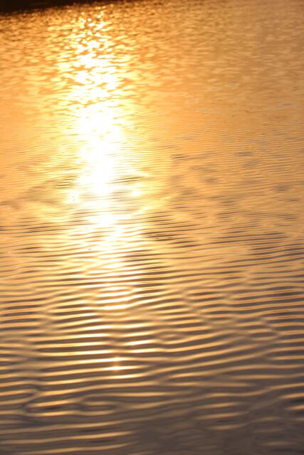 Sonnenuntergang im Okavango-Delta 3 © Michael Stauner