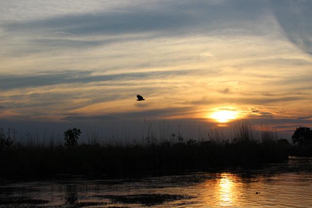 Sonnenuntergang im Okavango-Delta © Michael Stauner