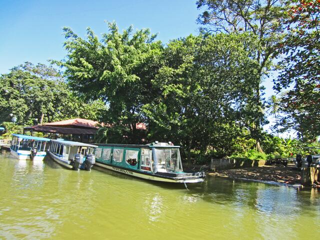 Puerto Limón - Costa Rica. 
Bootsfahrt auf den Tortuguero-Kanälen.