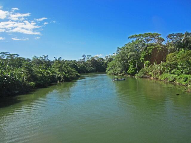 Puerto Limón - Costa Rica. 
Bootsfahrt auf den Tortuguero-Kanälen.