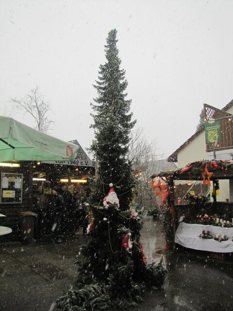 Der grosse Weihnachstbaum des SV Sorgensen