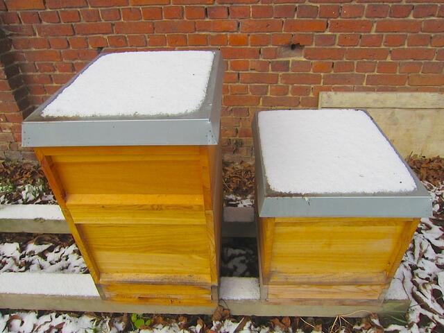 Die Bienen wärmen sich im Inneren der Kästen gegenseitig, in dem sie eine dichte Traube bilden und jeder mal weiter in die Mitte darf.