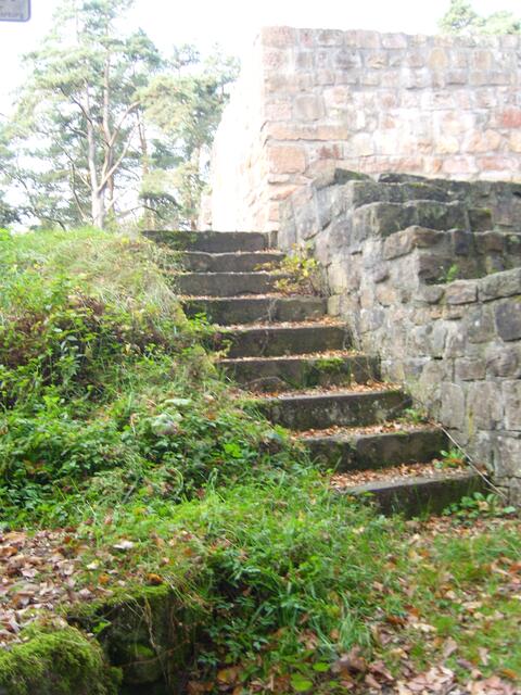 Teil der Burgruine Weißenstein im Wald bei Wehrda. Von hier hat man einen Blick bis zum Marburger Schloss.
