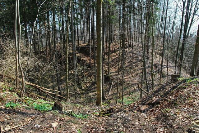 Sicht von Vorburg über den Hals-Graben zur Hauptburg | Foto: Bild/Genehmigung: P. Zeller ("Peters Burgenwelt")