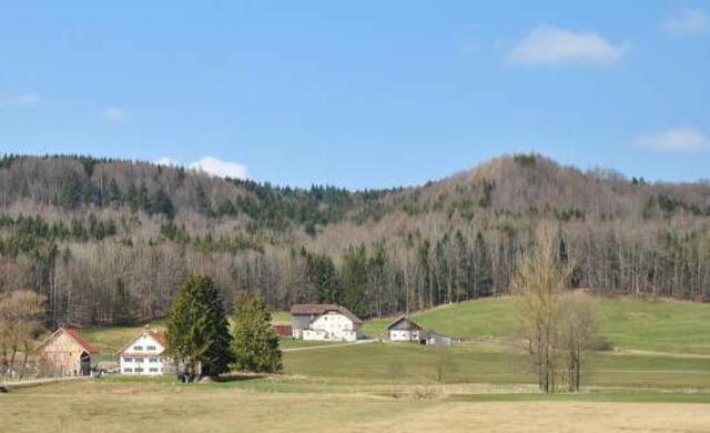 Burg/Bergkegel rechts über der Ortschaft Liebenthann (Mühle)