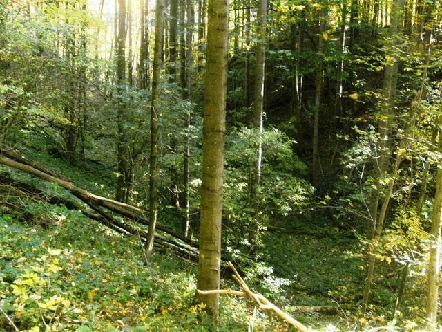 Hals-Graben zur Hauptburg