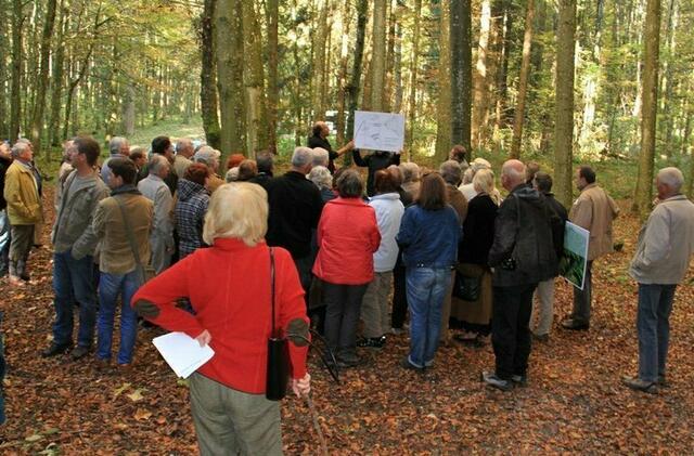 Visuelle Darstellung für Mitglieder der bayer. archäolog. Gesellschaft auf dem Burgstallgelände