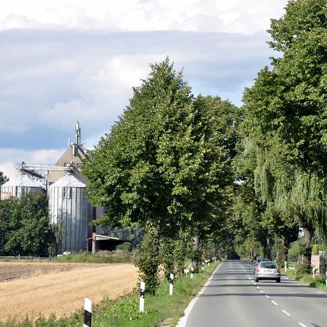 BURGDORFER LAND © OKOK TELEVISION