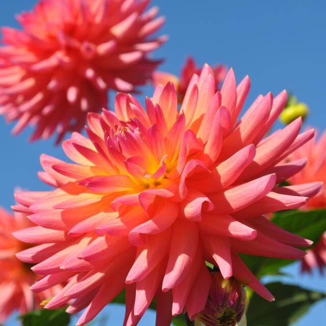 BURGDORFER LAND © OKOK TELEVISION