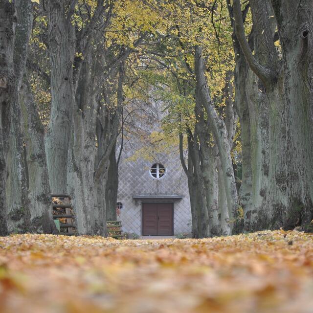 BURGDORFER LAND © OKOK TELEVISION