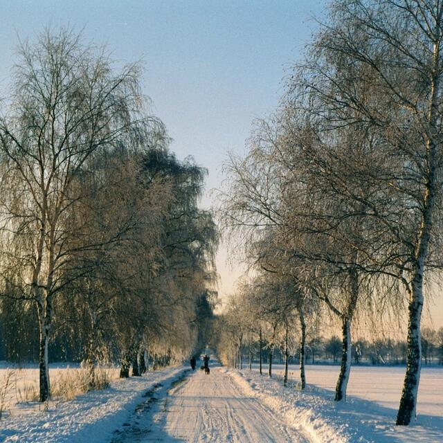 BURGDORFER LAND © OKOK TELEVISION