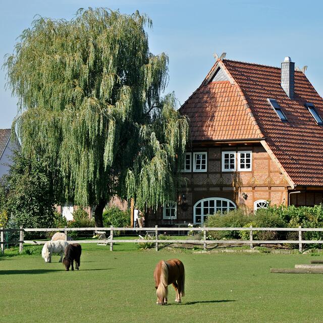 Burgdorfer Land © OKOK TELEVISION