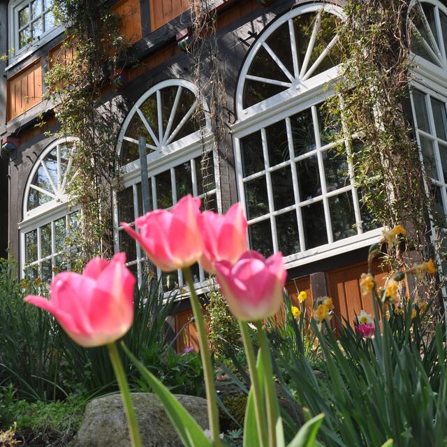 BURGDORFER LAND © OKOK TELEVISION