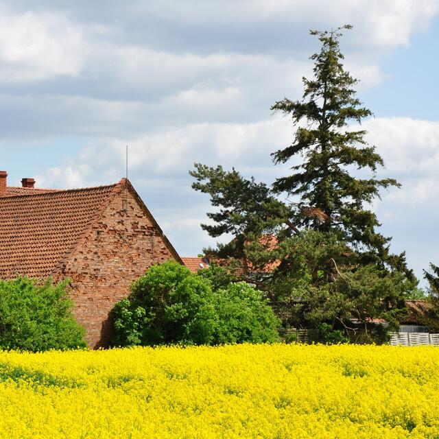 BURGDORFER LAND © OKOK TELEVISION