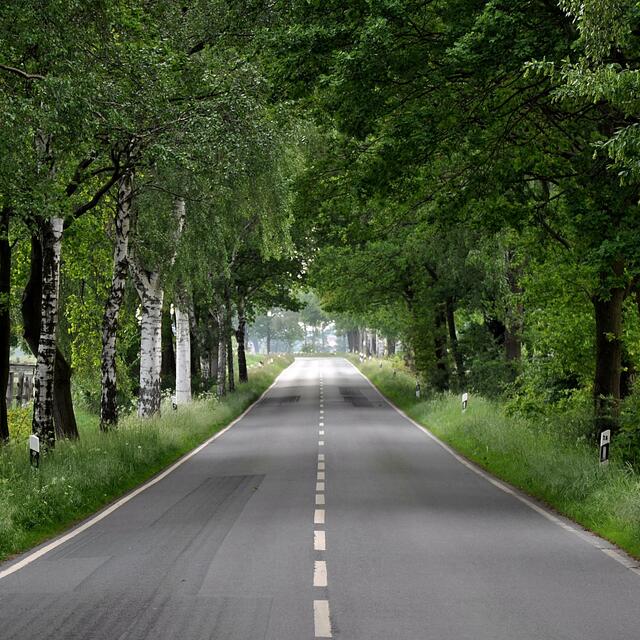 BURGDORFER LAND © OKOK TELEVISION