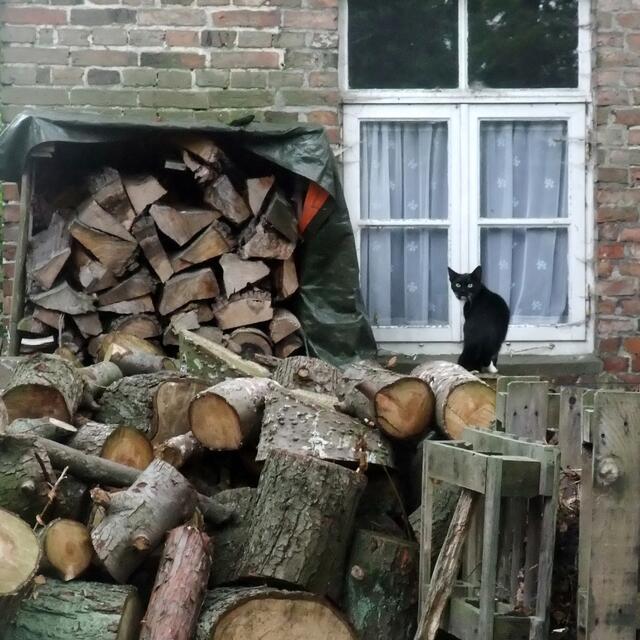 BURGDORFER LAND © OKOK TELEVISION