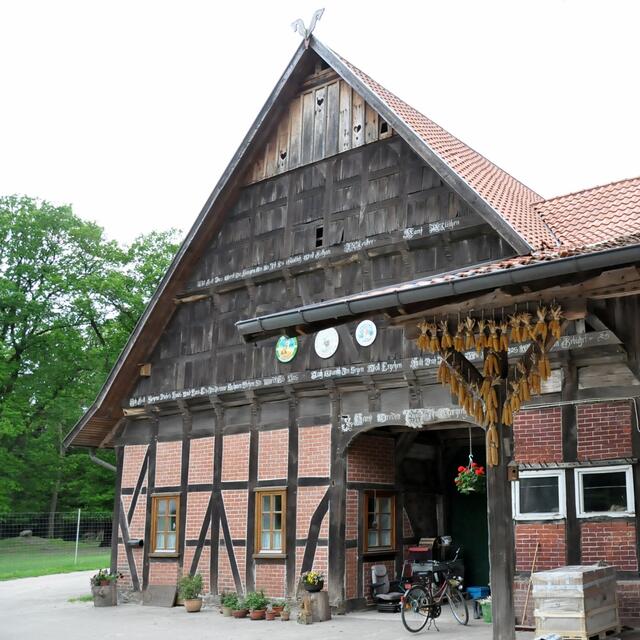 Burgdorfer Land © OKOK TELEVISION