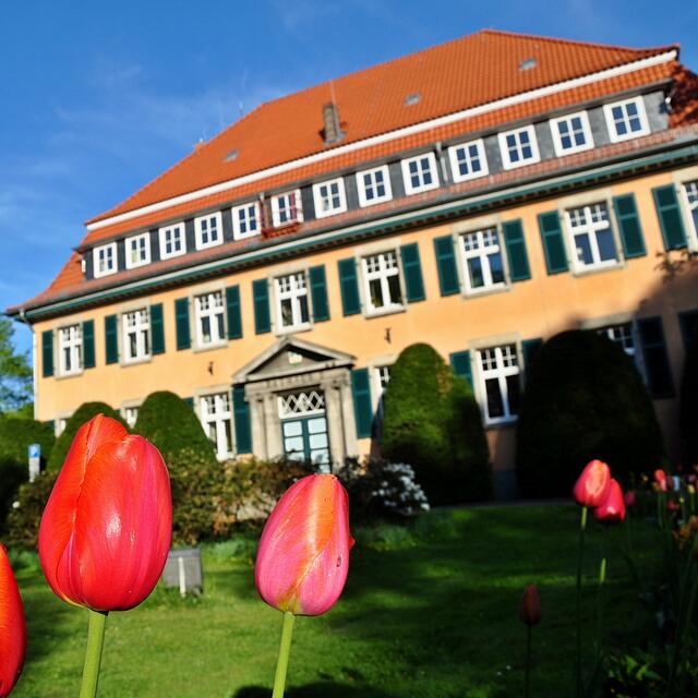 BURGDORFER LAND © OKOK TELEVISION