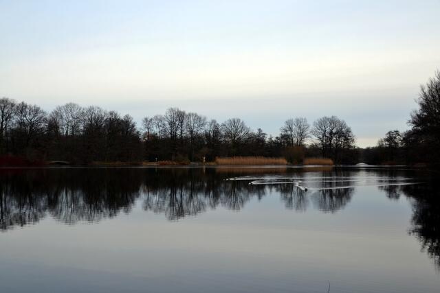 Impressionen aus dem Hermann-Löns-Park (Foto: Katja Woidtke)