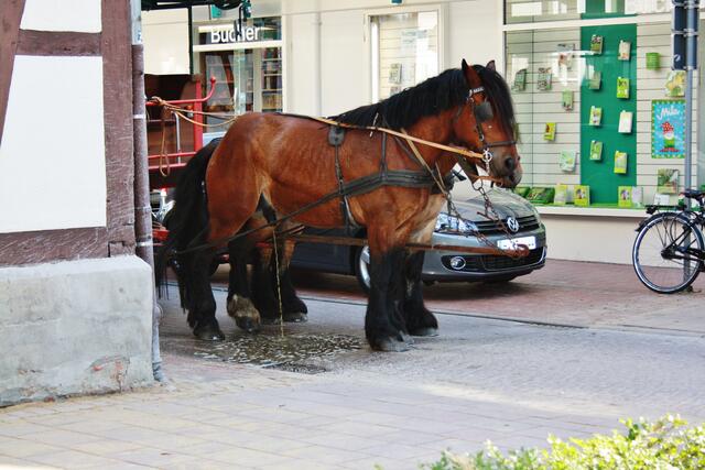 Ohne Worte ..................!!
