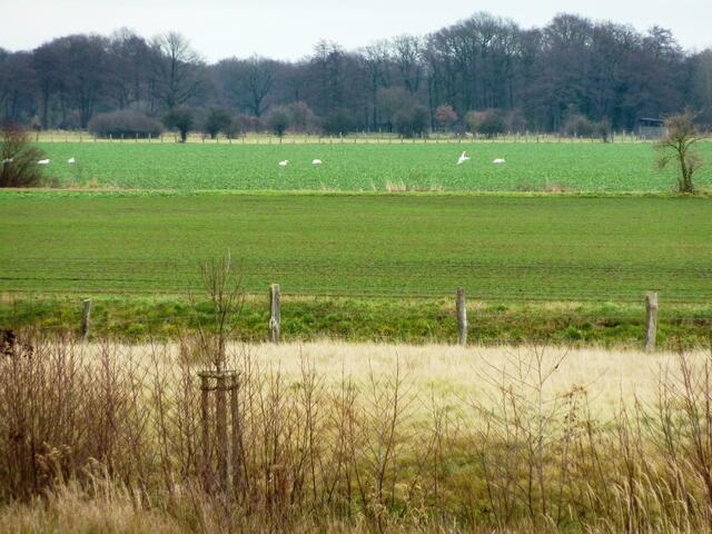 Immer einen schönen Platz zum Ausruhen finden. (Blick vom SPARC-Turm im Wietzepark Langenhagen)