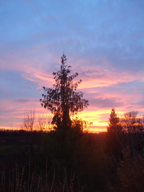 Sonnenuntergang im November 2012 in Zirgesheim