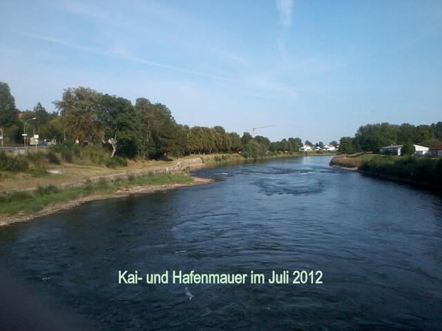 Der Uferbewuchs an der Kaimauer nach den ersten Säuberungsaktionen im Juli 2012