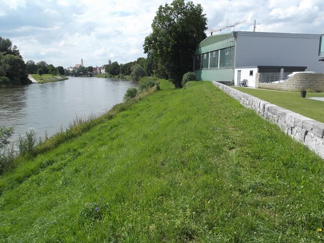 Donau-Uferweg Richtung Stadt