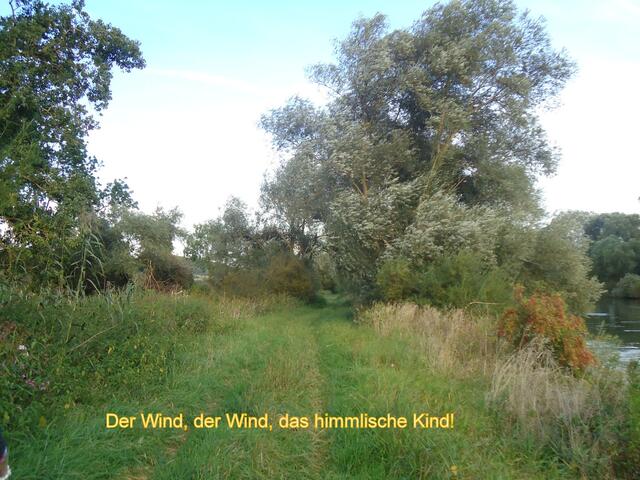 Noch 1200 m bis zum Sportgelände des FC Zirgesheim und dem Ende des voraussichtlichen Rad- und Wanderweges entlang der Donau