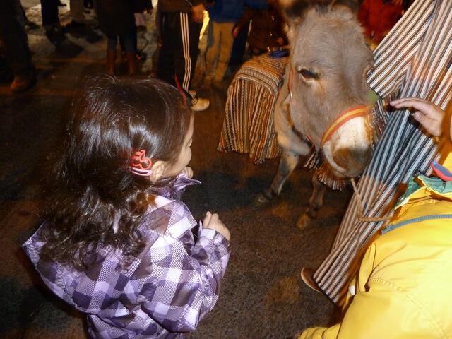 Eine vorsichtige Hand nähert sich dem Esel.