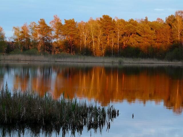 Der Würmsee im April 2012. Golden verabschiedet sich die Sonne am Abend im See.