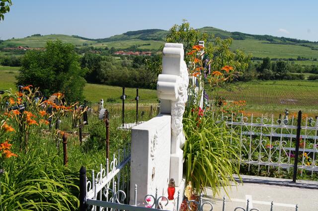 Ca. 30 km südöstlich von Oradea, Rumänien. Im Hintergrund die welligen und überaus lieblichen Ausläufer der Westkarpaten.