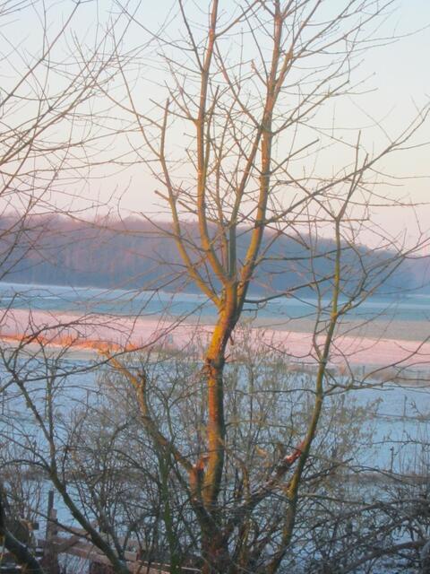 Hinten auf dem Acker ist ein Sonnenstreifen zu sehen und unser Baum leuchtet auch schon etwas