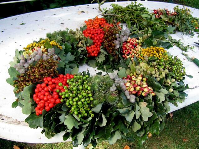 1.)  Mitte vorn: Kletten, nach links: grün Minnihagebutten, rot Vogelbeeren, grün-braun Johanniskraut, Hasenschwänzchenklee, gelb Rainfarn, grünliche  Lindenfrüchtchen. Gehalten von kurz gefaßten Eichenblättern.