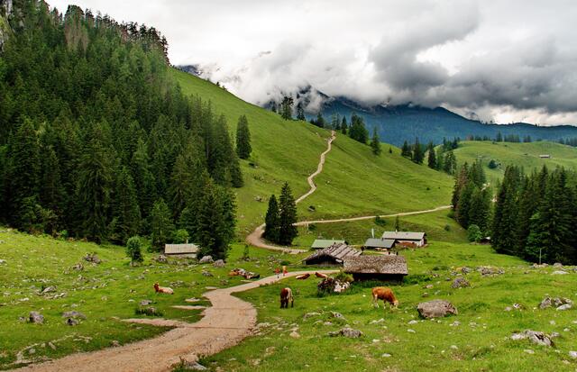 Wandern am Jenner
