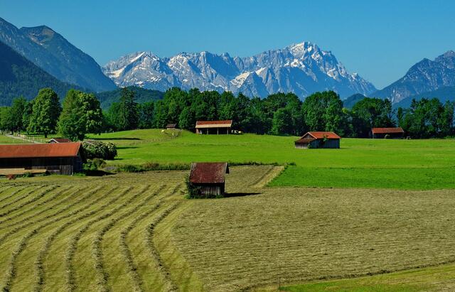 Kurz vor Hohenschwangau