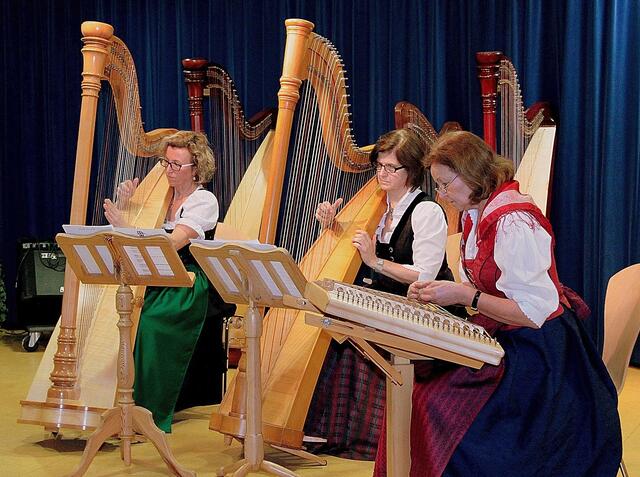 Die weit über Wertingen hinaus bekannten "Wertinger Zupfnudla" durften beim Neujahrskonzert der Musikschule Wertingen natürlich nicht fehlen.
