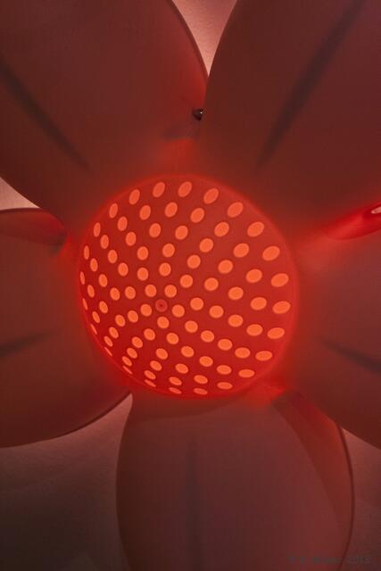 Dies übrigens auch.