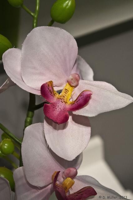 Echt oder künstlich, das ist hier die Frage ...