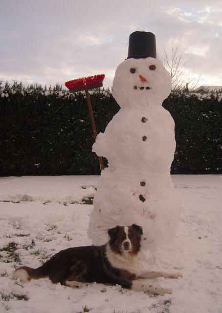 Dieser Schneemann ist auch vom 09.Dez.2012. Er " lebte " auch nur bis abends in unserem Garten in Sehnde