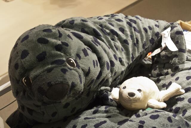 Wir kommen in die Kleintier-Abteilung - Mutter und Kind