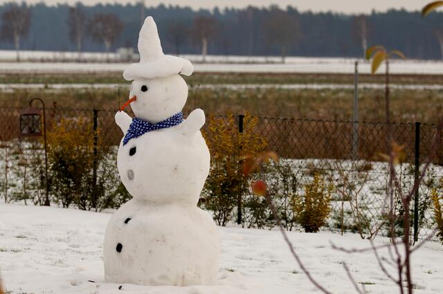 Er liebt die Temperaturen unter NULL Grad CELSIUS. Ich entdeckte diesen hübschen Schneemann beim Blick über einen Kleinburgwedeler Gartenzaun.