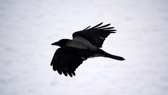 ... und Abflug
